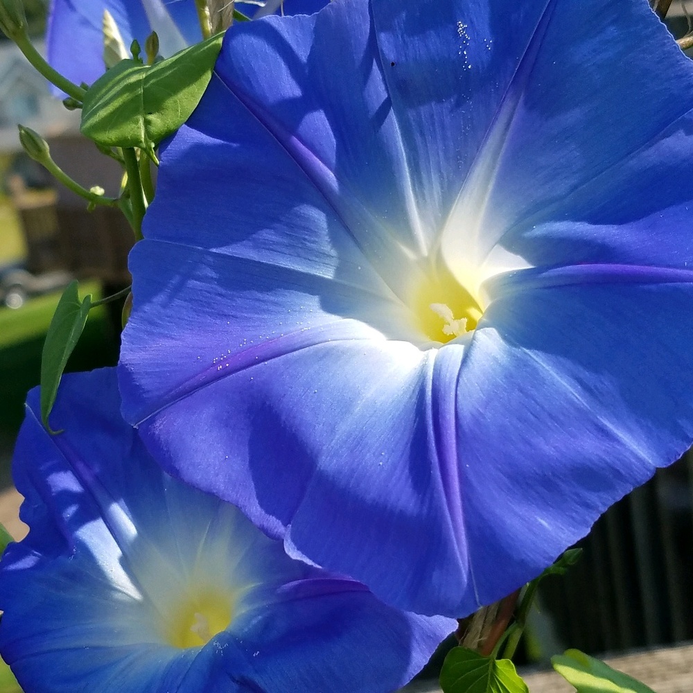 Meet your Posher, Lynn